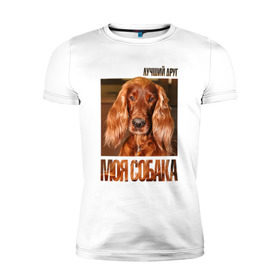 Мужская футболка премиум с принтом Ирландский сеттер в Новосибирске, 92% хлопок, 8% лайкра | приталенный силуэт, круглый вырез ворота, длина до линии бедра, короткий рукав | drug | ирландский сеттер | порода | собака