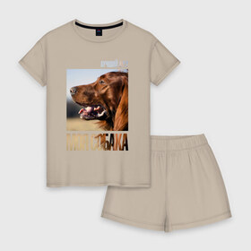 Женская пижама с шортиками хлопок с принтом Ирландский сеттер в Новосибирске, 100% хлопок | футболка прямого кроя, шорты свободные с широкой мягкой резинкой | drug | ирландский сеттер | порода | собака