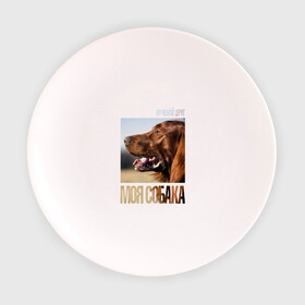 Тарелка с принтом Ирландский сеттер в Новосибирске, фарфор | диаметр - 210 мм
диаметр для нанесения принта - 120 мм | Тематика изображения на принте: drug | ирландский сеттер | порода | собака