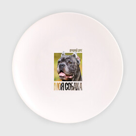 Тарелка с принтом Канне корсо в Новосибирске, фарфор | диаметр - 210 мм
диаметр для нанесения принта - 120 мм | Тематика изображения на принте: drug | канне корсо | порода | собака