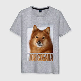 Мужская футболка хлопок с принтом Карело-финская лайка в Новосибирске, 100% хлопок | прямой крой, круглый вырез горловины, длина до линии бедер, слегка спущенное плечо. | drug | карело финская лайка | порода | собака