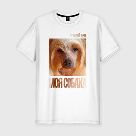 Мужская футболка премиум с принтом Китайская хохлатая собака в Новосибирске, 92% хлопок, 8% лайкра | приталенный силуэт, круглый вырез ворота, длина до линии бедра, короткий рукав | китайская хохлатая собака | порода | собака