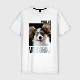 Мужская футболка премиум с принтом Папийон в Новосибирске, 92% хлопок, 8% лайкра | приталенный силуэт, круглый вырез ворота, длина до линии бедра, короткий рукав | Тематика изображения на принте: drug | папийон | порода | собака