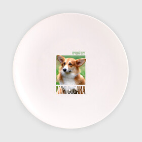Тарелка с принтом Вельш-корги-пемброк в Новосибирске, фарфор | диаметр - 210 мм
диаметр для нанесения принта - 120 мм | drug | вельш корги пемброк | порода | собака