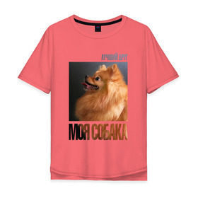 Мужская футболка хлопок Oversize с принтом Померанский шпиц в Новосибирске, 100% хлопок | свободный крой, круглый ворот, “спинка” длиннее передней части | Тематика изображения на принте: drug | померанский шпиц | порода | собака