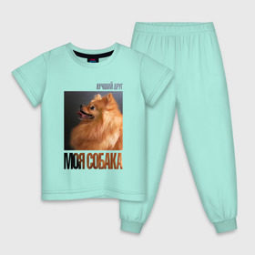 Детская пижама хлопок с принтом Померанский шпиц в Новосибирске, 100% хлопок |  брюки и футболка прямого кроя, без карманов, на брюках мягкая резинка на поясе и по низу штанин
 | drug | померанский шпиц | порода | собака