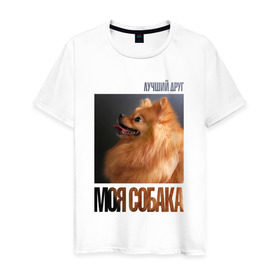 Мужская футболка хлопок с принтом Померанский шпиц в Новосибирске, 100% хлопок | прямой крой, круглый вырез горловины, длина до линии бедер, слегка спущенное плечо. | drug | померанский шпиц | порода | собака