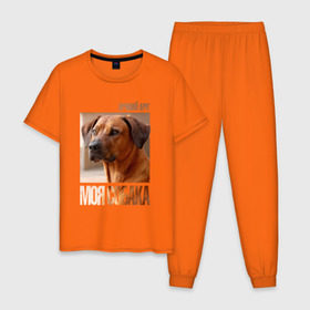 Мужская пижама хлопок с принтом Родезийский риджбек в Новосибирске, 100% хлопок | брюки и футболка прямого кроя, без карманов, на брюках мягкая резинка на поясе и по низу штанин
 | Тематика изображения на принте: drug | порода | родезийский риджбек | собака