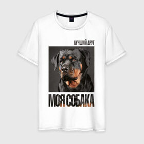 Мужская футболка хлопок с принтом Ротвейлер в Новосибирске, 100% хлопок | прямой крой, круглый вырез горловины, длина до линии бедер, слегка спущенное плечо. | Тематика изображения на принте: drug | порода | собака