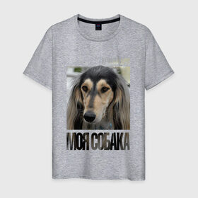 Мужская футболка хлопок с принтом Салюки в Новосибирске, 100% хлопок | прямой крой, круглый вырез горловины, длина до линии бедер, слегка спущенное плечо. | drug | порода | салюки | собака