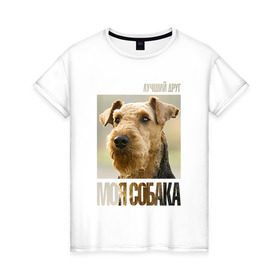 Женская футболка хлопок с принтом Эрдельтерьер в Новосибирске, 100% хлопок | прямой крой, круглый вырез горловины, длина до линии бедер, слегка спущенное плечо | drug | порода | собака | эрдельтерьер