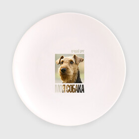 Тарелка с принтом Эрдельтерьер в Новосибирске, фарфор | диаметр - 210 мм
диаметр для нанесения принта - 120 мм | drug | порода | собака | эрдельтерьер