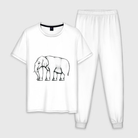 Мужская пижама хлопок с принтом Сколько ног у слона в Новосибирске, 100% хлопок | брюки и футболка прямого кроя, без карманов, на брюках мягкая резинка на поясе и по низу штанин
 | слон
