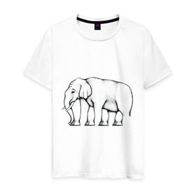 Мужская футболка хлопок с принтом Сколько ног у слона в Новосибирске, 100% хлопок | прямой крой, круглый вырез горловины, длина до линии бедер, слегка спущенное плечо. | слон