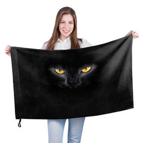 Флаг 3D с принтом Черная кошка в Новосибирске, 100% полиэстер | плотность ткани — 95 г/м2, размер — 67 х 109 см. Принт наносится с одной стороны | глаза | киса | кот | котик | кошка | черная кошка