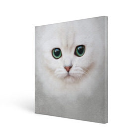 Холст квадратный с принтом Белый котик в Новосибирске, 100% ПВХ |  | белая кошка | киса | кот | котик | кошка