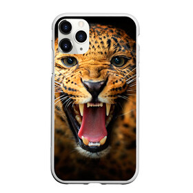 Чехол для iPhone 11 Pro матовый с принтом Леопард в Новосибирске, Силикон |  | киса | кошка | леопард | хищник