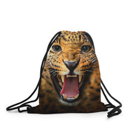 Рюкзак-мешок 3D с принтом Леопард в Новосибирске, 100% полиэстер | плотность ткани — 200 г/м2, размер — 35 х 45 см; лямки — толстые шнурки, застежка на шнуровке, без карманов и подкладки | киса | кошка | леопард | хищник