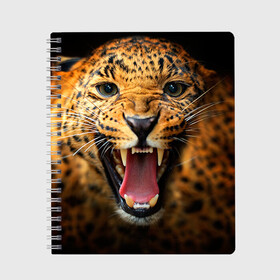 Тетрадь с принтом Леопард в Новосибирске, 100% бумага | 48 листов, плотность листов — 60 г/м2, плотность картонной обложки — 250 г/м2. Листы скреплены сбоку удобной пружинной спиралью. Уголки страниц и обложки скругленные. Цвет линий — светло-серый
 | киса | кошка | леопард | хищник