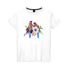 Женская футболка хлопок с принтом Попугаи в Новосибирске, 100% хлопок | прямой крой, круглый вырез горловины, длина до линии бедер, слегка спущенное плечо | myparrots | акварель | попугаи | птиц | розелла | цветы