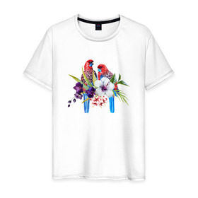 Мужская футболка хлопок с принтом Попугаи в Новосибирске, 100% хлопок | прямой крой, круглый вырез горловины, длина до линии бедер, слегка спущенное плечо. | myparrots | акварель | попугаи | птиц | розелла | цветы