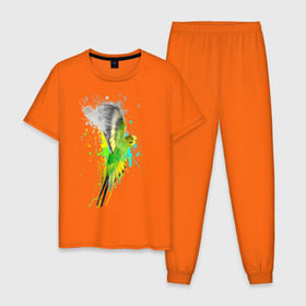 Мужская пижама хлопок с принтом Волнистый попугай в Новосибирске, 100% хлопок | брюки и футболка прямого кроя, без карманов, на брюках мягкая резинка на поясе и по низу штанин
 | Тематика изображения на принте: myparrots | попугаи | птицы | цветы