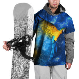 Накидка на куртку 3D с принтом Попугаи в Новосибирске, 100% полиэстер |  | macaw | myparrots | parrot | ара | космос | попугаи | птицы