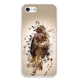 Чехол для iPhone 5/5S матовый с принтом Птица в Новосибирске, Силикон | Область печати: задняя сторона чехла, без боковых панелей | myparrots | орел | перья | птицы | сокол | хищная
