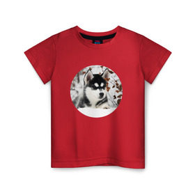 Детская футболка хлопок с принтом Щенок хаски в Новосибирске, 100% хлопок | круглый вырез горловины, полуприлегающий силуэт, длина до линии бедер | Тематика изображения на принте: dog | husky | собака | хаски | щенок