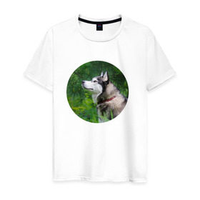 Мужская футболка хлопок с принтом Хаски в Новосибирске, 100% хлопок | прямой крой, круглый вырез горловины, длина до линии бедер, слегка спущенное плечо. | dog | husky | собака | хаски | щенок