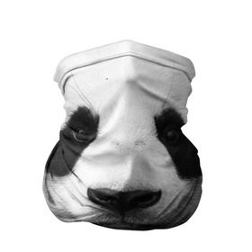 Бандана-труба 3D с принтом Панда в Новосибирске, 100% полиэстер, ткань с особыми свойствами — Activecool | плотность 150‒180 г/м2; хорошо тянется, но сохраняет форму | панда