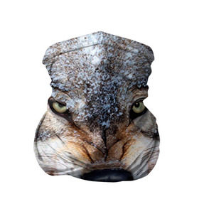 Бандана-труба 3D с принтом Волк в Новосибирске, 100% полиэстер, ткань с особыми свойствами — Activecool | плотность 150‒180 г/м2; хорошо тянется, но сохраняет форму | волк | животные | злой волк | зубы | оскал