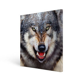 Холст квадратный с принтом Волк в Новосибирске, 100% ПВХ |  | волк | животные | злой волк | зубы | оскал