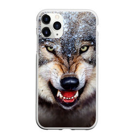Чехол для iPhone 11 Pro матовый с принтом Волк в Новосибирске, Силикон |  | волк | животные | злой волк | зубы | оскал