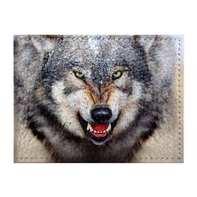 Обложка для студенческого билета с принтом Волк в Новосибирске, натуральная кожа | Размер: 11*8 см; Печать на всей внешней стороне | Тематика изображения на принте: волк | животные | злой волк | зубы | оскал