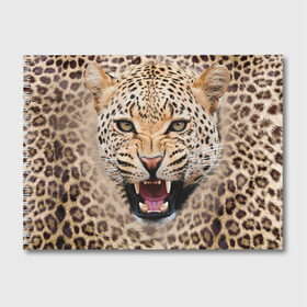 Альбом для рисования с принтом Леопард в Новосибирске, 100% бумага
 | матовая бумага, плотность 200 мг. | Тематика изображения на принте: животные | зубы | киса | киска | кошка | леопард | оскал