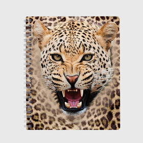 Тетрадь с принтом Леопард в Новосибирске, 100% бумага | 48 листов, плотность листов — 60 г/м2, плотность картонной обложки — 250 г/м2. Листы скреплены сбоку удобной пружинной спиралью. Уголки страниц и обложки скругленные. Цвет линий — светло-серый
 | животные | зубы | киса | киска | кошка | леопард | оскал