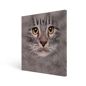 Холст квадратный с принтом Котик в Новосибирске, 100% ПВХ |  | животное | киса | кот | котик | кошка