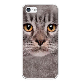Чехол для Apple iPhone 5/5S силиконовый с принтом Котик в Новосибирске, Силикон | Область печати: задняя сторона чехла, без боковых панелей | Тематика изображения на принте: животное | киса | кот | котик | кошка
