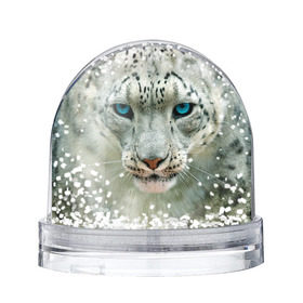 Снежный шар с принтом Снежный барс в Новосибирске, Пластик | Изображение внутри шара печатается на глянцевой фотобумаге с двух сторон | барс | животные | кошка | снежный барс
