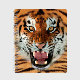 Тетрадь с принтом Тигр в Новосибирске, 100% бумага | 48 листов, плотность листов — 60 г/м2, плотность картонной обложки — 250 г/м2. Листы скреплены сбоку удобной пружинной спиралью. Уголки страниц и обложки скругленные. Цвет линий — светло-серый
 | животные | зубы | кошка | тигр