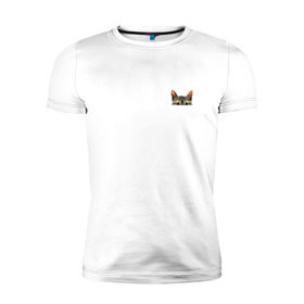 Мужская футболка премиум с принтом Кот в кармашке в Новосибирске, 92% хлопок, 8% лайкра | приталенный силуэт, круглый вырез ворота, длина до линии бедра, короткий рукав | в кармане | киса | кот | коты | кошки | подглядывающий