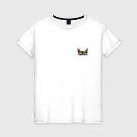 Женская футболка хлопок с принтом Кот в кармашке в Новосибирске, 100% хлопок | прямой крой, круглый вырез горловины, длина до линии бедер, слегка спущенное плечо | Тематика изображения на принте: в кармане | киса | кот | коты | кошки | подглядывающий