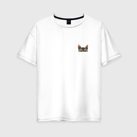 Женская футболка хлопок Oversize с принтом Кот в кармашке в Новосибирске, 100% хлопок | свободный крой, круглый ворот, спущенный рукав, длина до линии бедер
 | в кармане | киса | кот | коты | кошки | подглядывающий