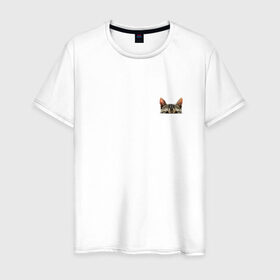 Мужская футболка хлопок с принтом Кот в кармашке в Новосибирске, 100% хлопок | прямой крой, круглый вырез горловины, длина до линии бедер, слегка спущенное плечо. | в кармане | киса | кот | коты | кошки | подглядывающий