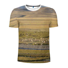 Мужская футболка 3D спортивная с принтом Долина жизни в Новосибирске, 100% полиэстер с улучшенными характеристиками | приталенный силуэт, круглая горловина, широкие плечи, сужается к линии бедра | Тематика изображения на принте: алтай | горы | долина | камни | пастбище в горной долинеживотные | пески | пустыни | рек