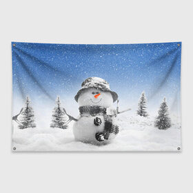 Флаг-баннер с принтом Снеговик в Новосибирске, 100% полиэстер | размер 67 х 109 см, плотность ткани — 95 г/м2; по краям флага есть четыре люверса для крепления | 2016 | winter | год | зима | мартышка | новогодний | новый | обезьяна | обезьянка | подарок | с новым годом | снег | снеговик