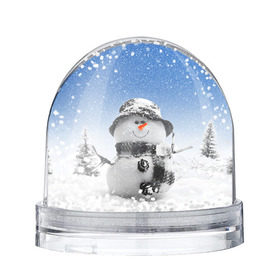 Снежный шар с принтом Снеговик в Новосибирске, Пластик | Изображение внутри шара печатается на глянцевой фотобумаге с двух сторон | 2016 | winter | год | зима | мартышка | новогодний | новый | обезьяна | обезьянка | подарок | с новым годом | снег | снеговик