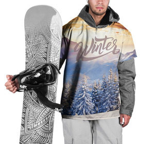 Накидка на куртку 3D с принтом Winter в Новосибирске, 100% полиэстер |  | зима | пейзвж | снег