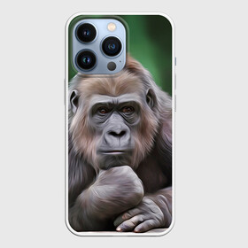 Чехол для iPhone 13 Pro с принтом Обезьяна в Новосибирске,  |  | 2016 | мартышка | обезьяна | с новым годом | символ нг